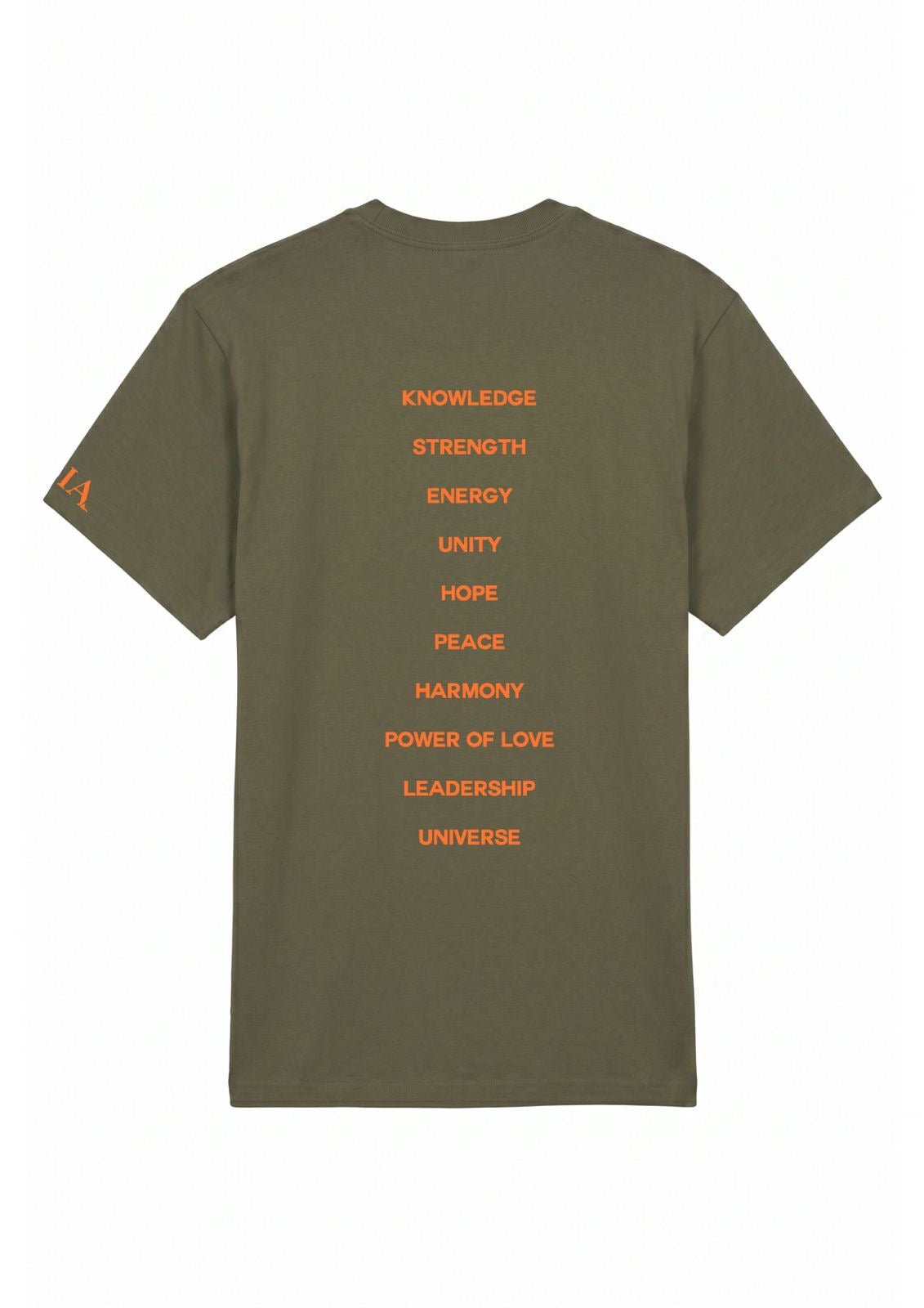 BACK OF ADINKRA T-SHIRT 
